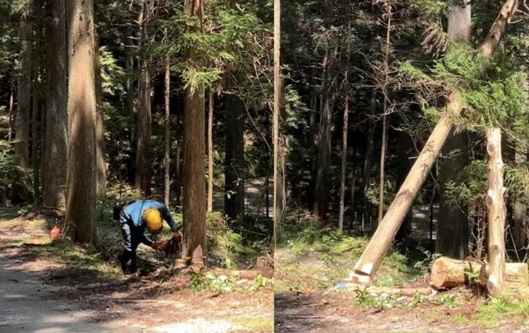 【活動報告】東京大工塾との山林現場視察、及び天竜の森と建築をつなぐ「TENRYU FOREST JAZZ 2026」